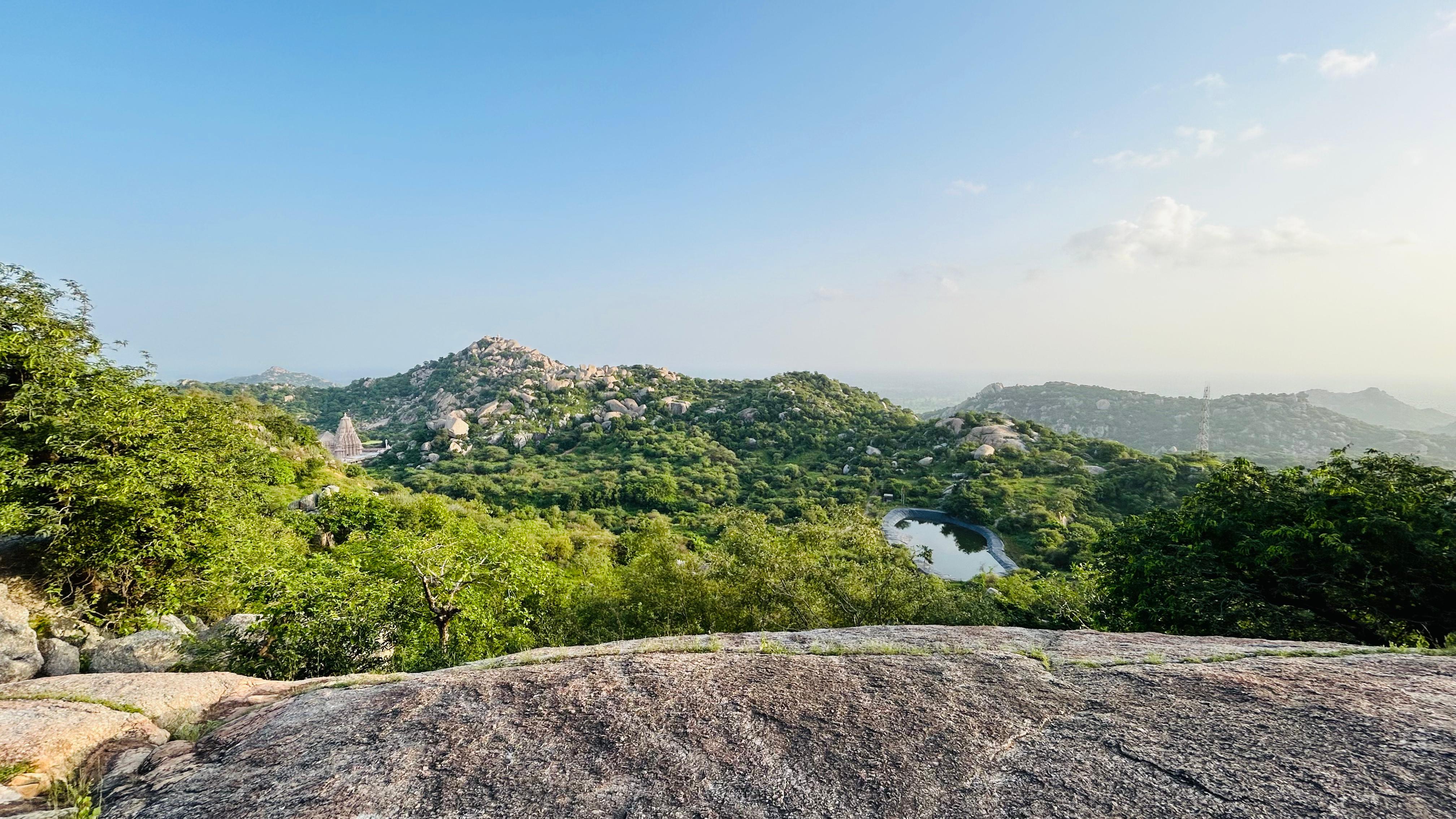 Taranga Hills